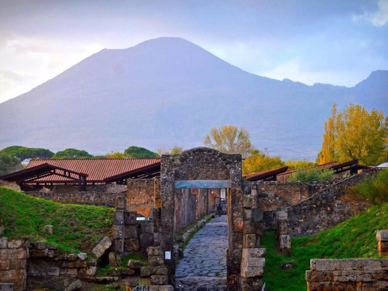 Unforgettable Journey: Pompeii and Vesuvius in a Day - Inclusions