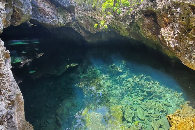 Unforgettable Land Tour on Long Island Bahamas - Accessibility and Group Size