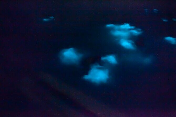 Unforgettable One Day Bioluminescent Kayak Adventure in Vieques - The Experience in Detail