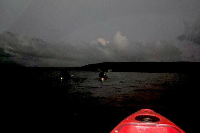 Unforgettable One Day Bioluminescent Kayak Adventure in Vieques - Authenticity and Review Highlights