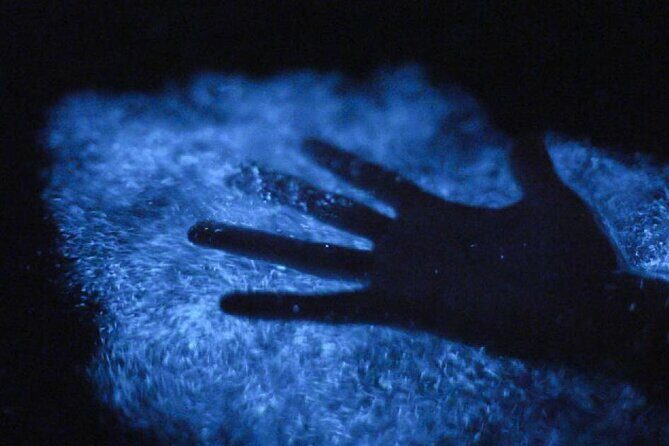 Unforgettable One Day Bioluminescent Kayak Adventure in Vieques - The Sum Up