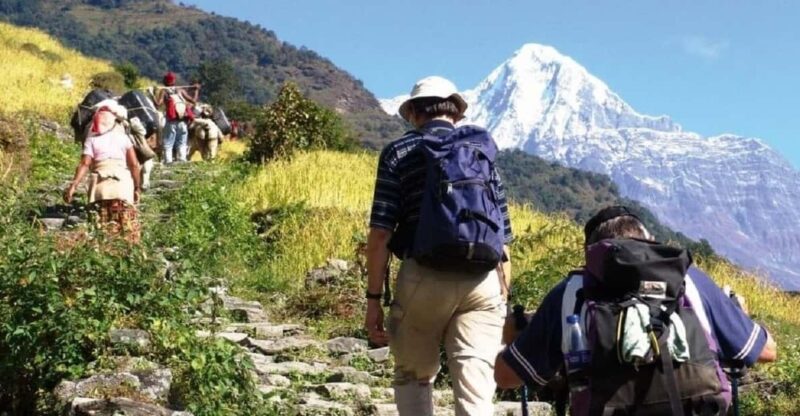 Unforgettable Pokhara to Annapurna Foothills Day Hike - Duration and Itinerary