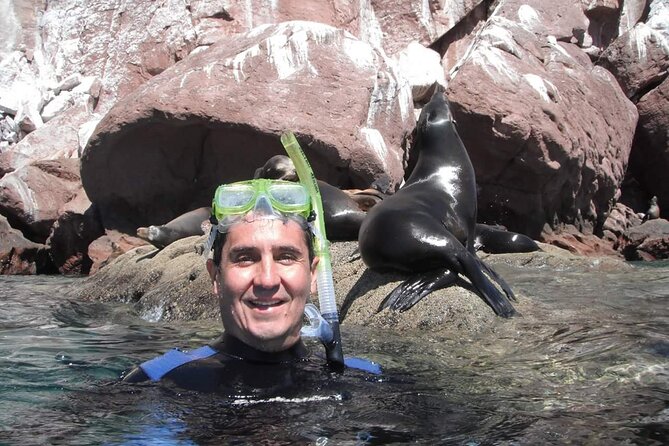 Unforgettable Snorkeling Activity in the Sea of Cortes - Location and Tour Details