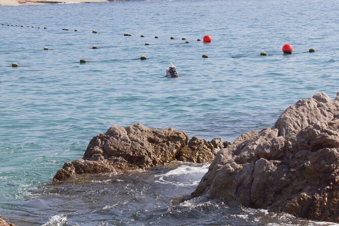 Unforgettable Snorkeling Activity in the Sea of Cortes - Inclusions and Amenities