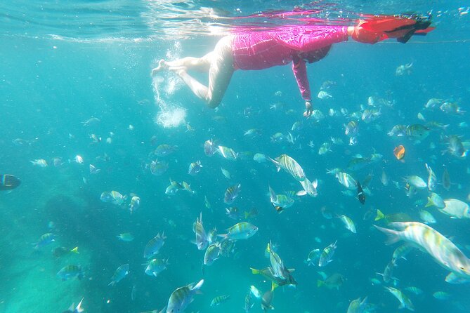 Unforgettable Snorkeling Activity in the Sea of Cortes - Customer Feedback and Ratings
