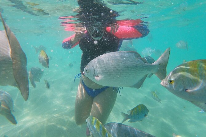 Unforgettable Snorkeling Activity in the Sea of Cortes - Frequently Asked Questions