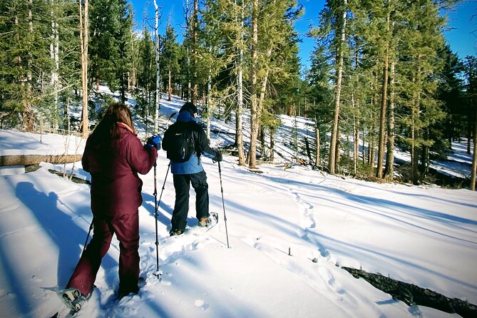 Unforgettable Snowshoe Adventure in the Colorado Rockies - Safety and First Aid Measures