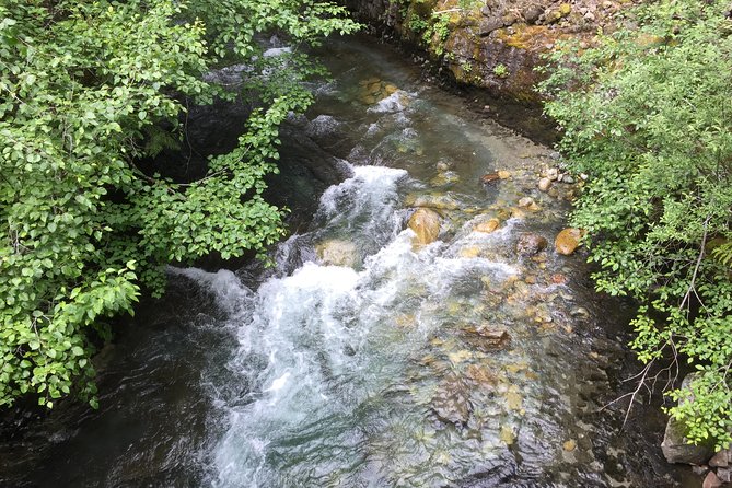 Unforgettable Whistler ( Full Day Private Tour) - Taking in Whistlers Vibrant Ambiance