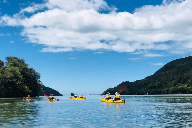 Unguided 3-Day Freedom Kayak Rental New Zealand - Health and Safety Information