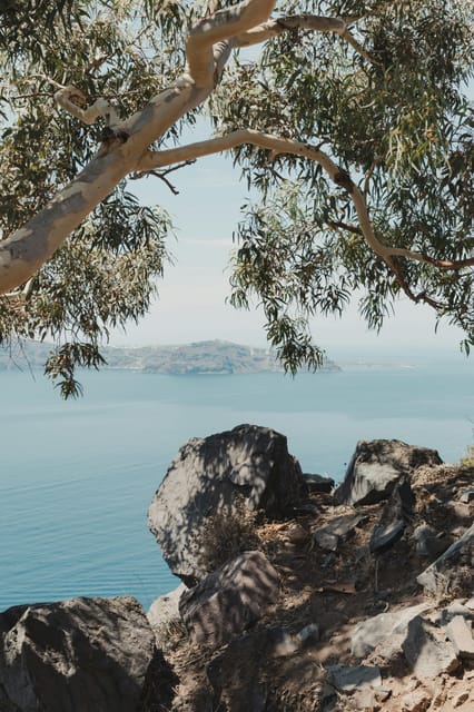 Unique 3-Hour Tour of Santorini for Cruise Ship Passengers - Reservation and Cancellation