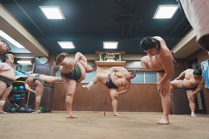 Unique Afternoon Live Sumo Training Tour in Tokyo - Key Points