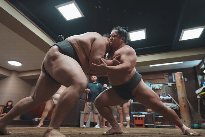 Unique Afternoon Live Sumo Training Tour in Tokyo - Tour Inclusions