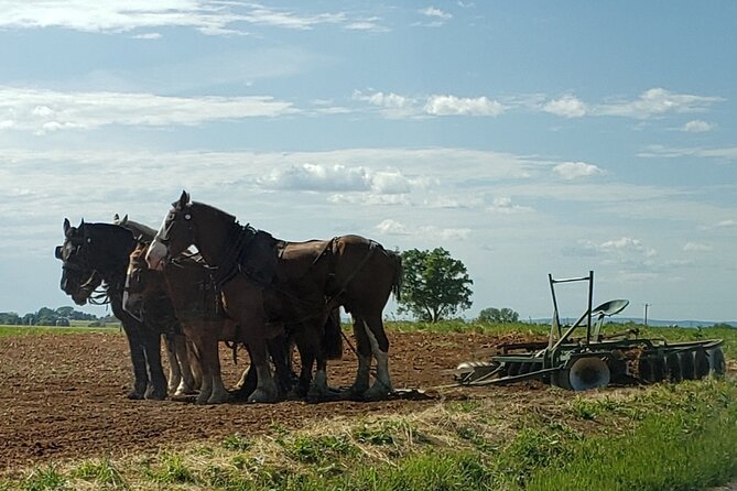 Unique Amish Immersion in Lancaster - Guided by Local