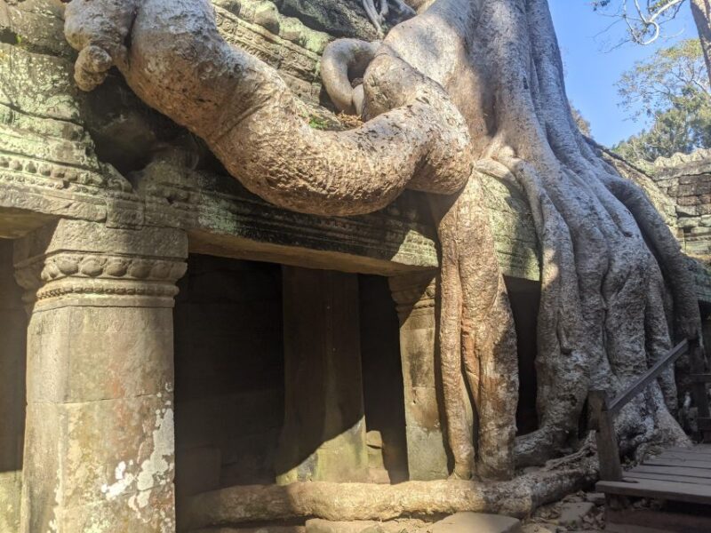 Unique Angkor Hiking Day Tour - Important Information
