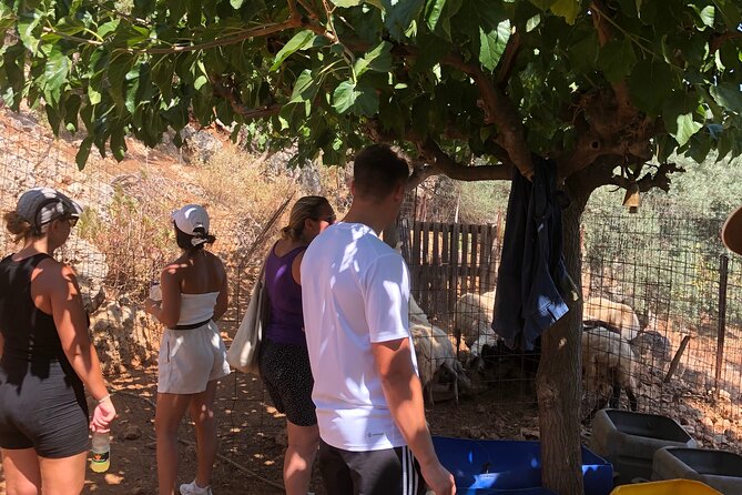 Unique Cooking Class in Our Farm, Biological Ingredients - Booking Information