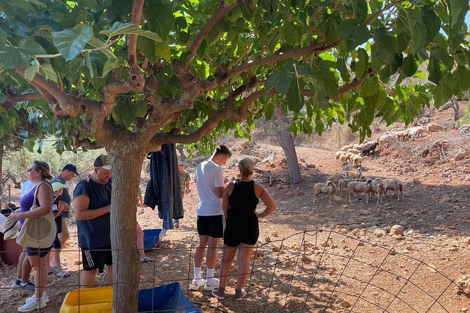 Unique Cooking Class in Our Farm, Biological Ingredients - Frequently Asked Questions