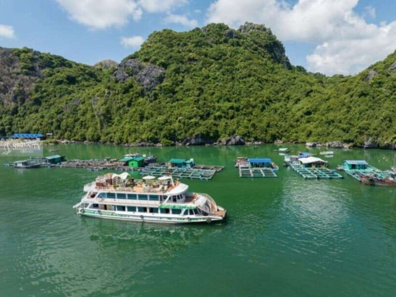 UNIQUE DAY TOUR HA NOI - CAT BA ISLAND – LAN HA BAY - Tour Overview