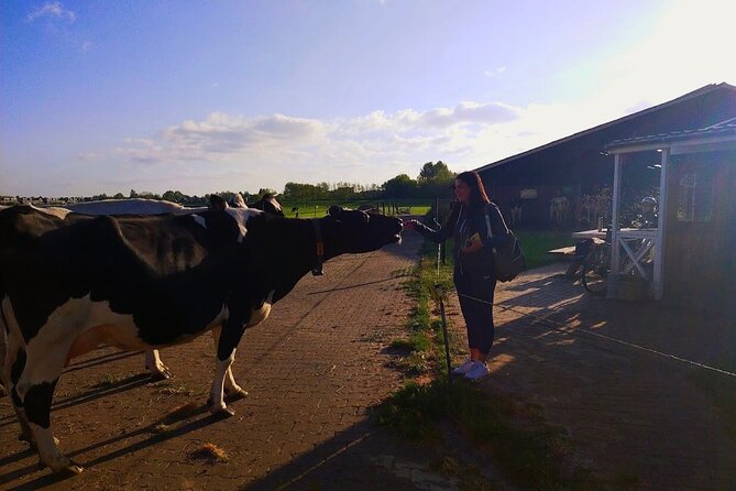 Unique Dutch Villages Zaanse Schans, Dutch Farm and Giethoorn Tour Including a Boat Ride - Indulging in Local Delicacies