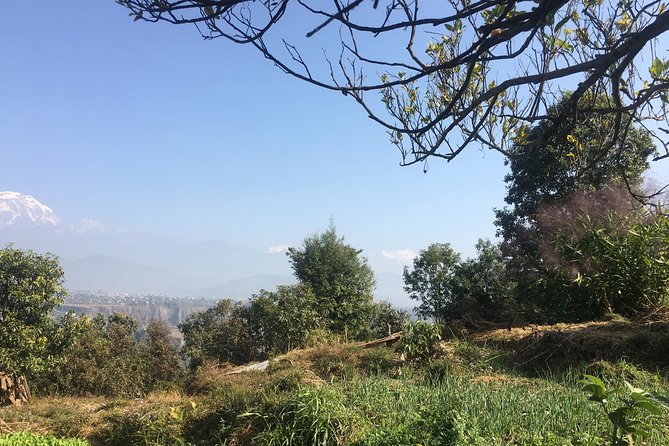 Unique Easy Hiking to Foxing Hill From Pokhara - Meeting and Pickup Arrangements