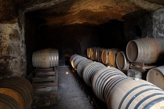 Unique Enobike Experience With Tasting in 2 Excellent Wineries - Good To Know