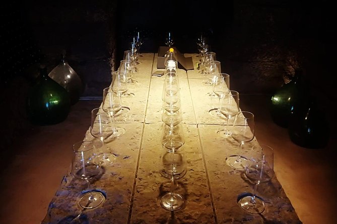 Unique Enobike Experience With Tasting in 2 Excellent Wineries - Health and Safety Measures