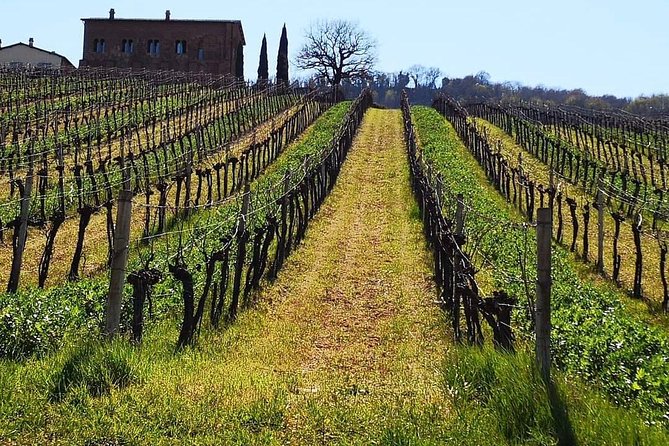 Unique Enobike Experience With Tasting in 2 Excellent Wineries - Booking Information