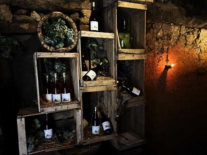 Unique Experience in a Medieval Winery With Wine Tasting - Historical Context of Winemaking