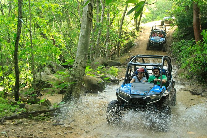 Unique Experience on ATVS or Razer Through the Jungle! - Reviews & Ratings