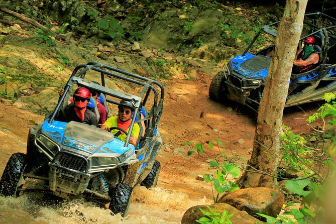 Unique Experience on ATVS or Razer Through the Jungle! - Safety Considerations