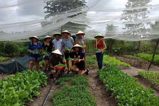 Unique Farm to Table Cooking Class in Saigon - Tour of the Nearby Farm