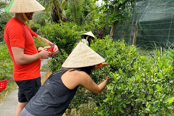 Unique Farm to Table Cooking Class With Top Chef in Vietnam - Class Format