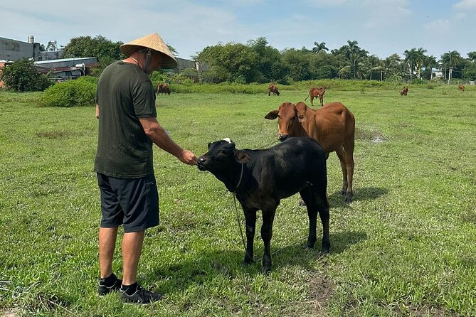 Unique Farm to Table Cooking Class With Top Chef in Vietnam - What to Expect