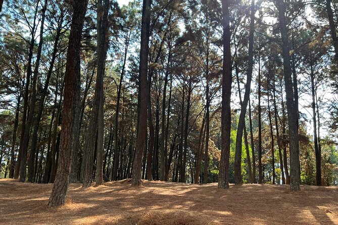 Unique Full-Day Kigali Private City Tour - Exploring Kigali