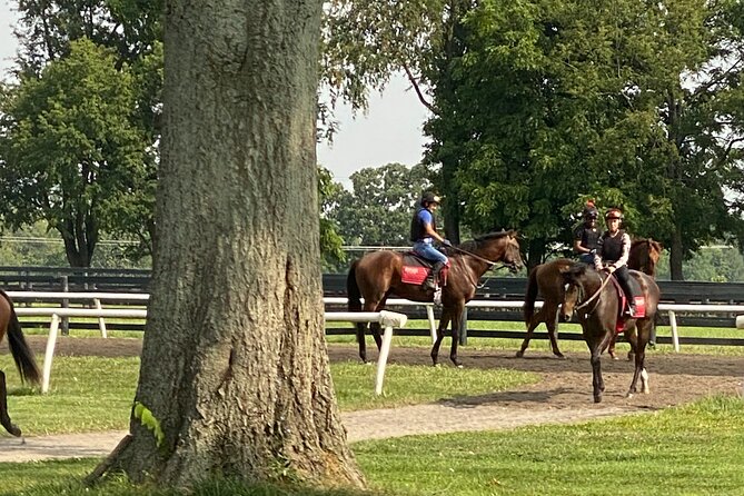 Unique Horse Farm Tours With Insider Access to Private Farms - Additional Considerations for Guests