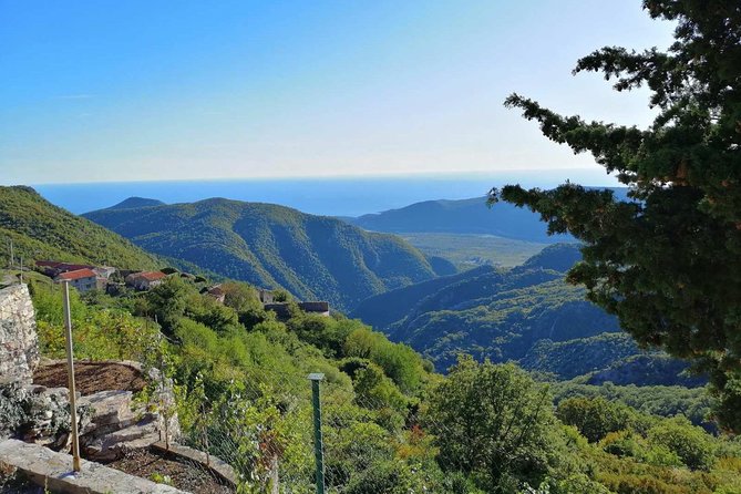 Unique Lunch Experience With Locals in High Hills Above Budva! - Unique Lunch Experience