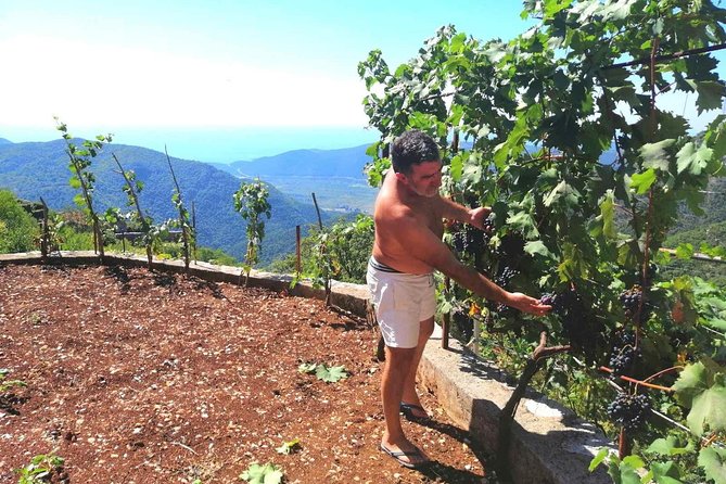 Unique Lunch Experience With Locals in High Hills Above Budva! - Inclusions