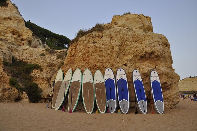 Unique Stand Up Paddle Experience! - Schedule and Availability