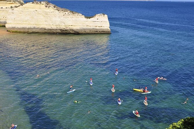 Unique Stand Up Paddle Experience! - Customer Reviews