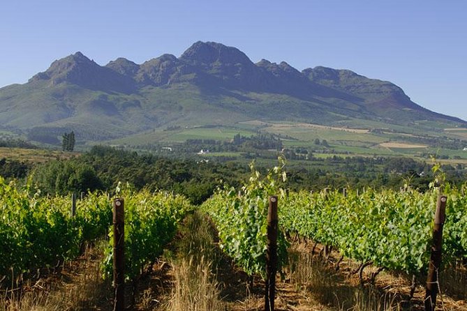 Unique Stellenbosch Winelands Tour With Optional 4x4 Wine Drive - Pricing and Cancellation