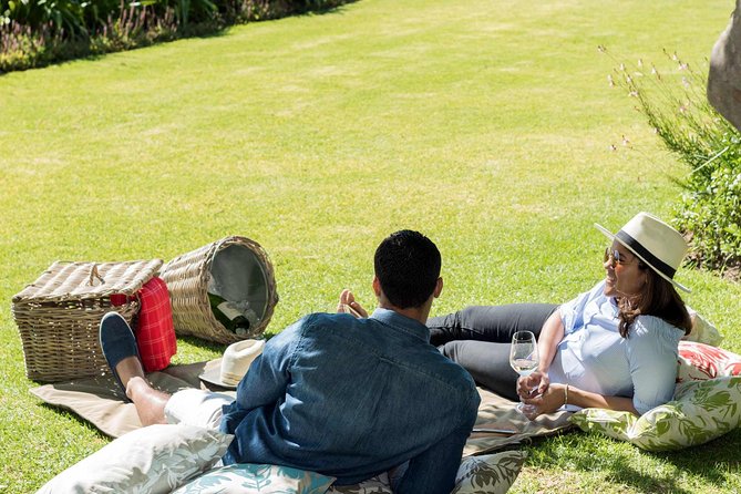 Unique Stellenbosch Winelands Tour With Optional 4x4 Wine Drive - Reviews