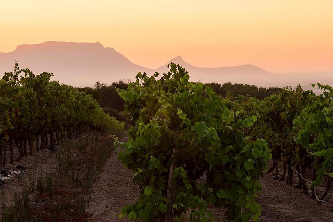 Unique Stellenbosch Winelands Tour With Optional 4x4 Wine Drive - Sample Award-Winning Wines