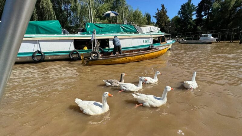 Unique Tigre and Delta Private Day Cruise Navegation - Guide and Services