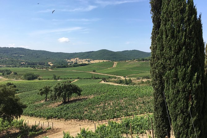 Unique Tuscany Experience in 1 Week With the Locals - Serene Countryside Experiences