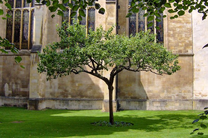 University Walking Tour - Tour Details