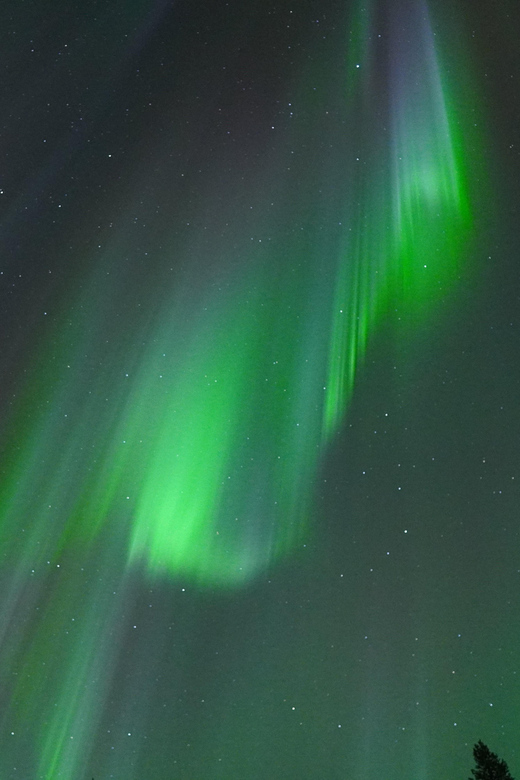 Unlimited Range! Northern Lights Photo Safari - Good To Know