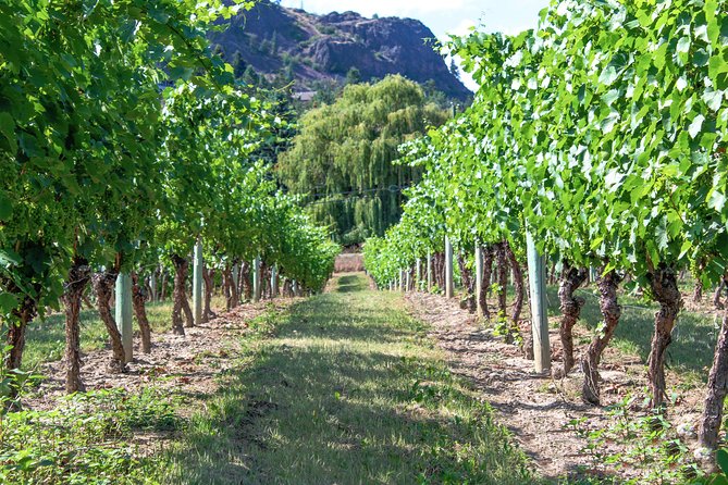 Unmatched Private Wine Tours for Up to 11 in Kelowna Area - Recommendations and Policies