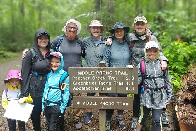 Unplugged Waterfall Hike in the Smokies - Participation Details and Accessibility