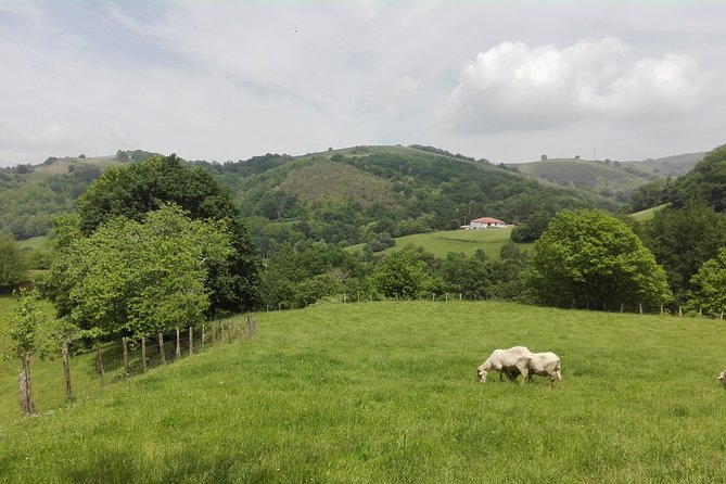 Unspoiled FRENCH BASQUE COUNTRYSIDE - Private Cultural Adeventure - Discover the French Basque Landscape