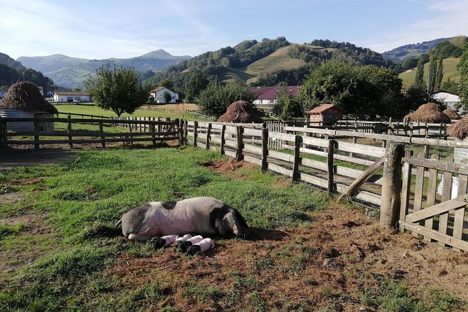 Unspoiled FRENCH BASQUE COUNTRYSIDE - Private Cultural Adeventure - Explore the Regions Unique Culture