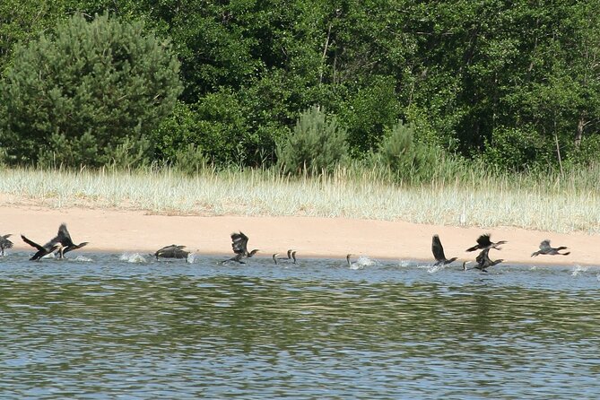 Untouched Sand Dunes - Guided Canoe Tour on UNESCO Site - Booking and Flexibility